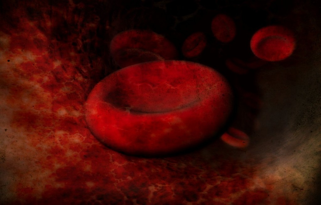 red blood cell