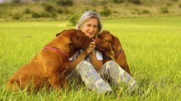 Emotional Support Dog