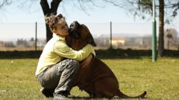 Emotional support animals