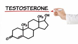 Testosterone