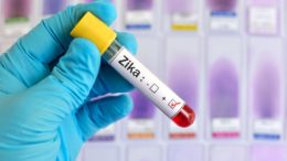 Zika Virus