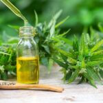 7 Facts About Cannabidiol (CBD) Every Patient Should Know