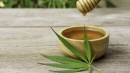 CBD honey