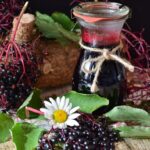 Origin, Uses, and Side Effects of Elderberries