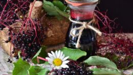 elderberry juice