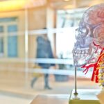 Common Causes of Traumatic Brain Injuries
