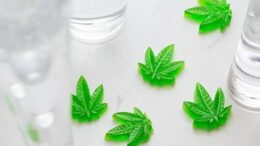 CBD gummies