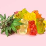 Delta-8 Gummies Are So Famous, But Why?
