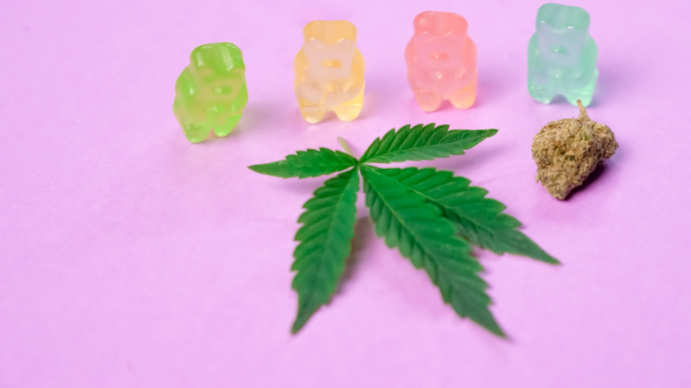 cannabis gummies