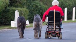 Mobility Scooter for disabled