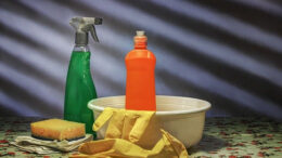 house cleaners