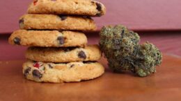 thc edibles