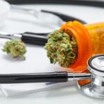 CBD vs. Medical Marijuana: What's the Difference?