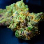 A Guide to Choosing a Medical Marijuana Consumption Method
