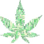 Learning the Theory Behind the Success of Weed Delivery Services