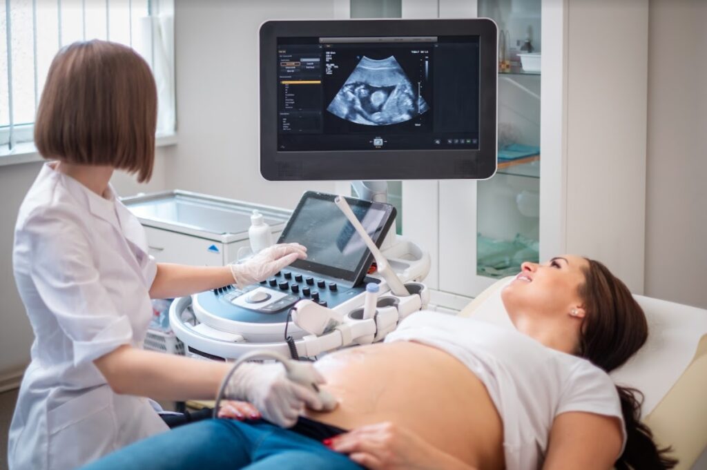pregnancy echography