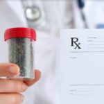 How to Talk to Your Physician About Medical Marijuana