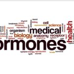The Ups & Downs of Bioidentical Hormones Tampa FL