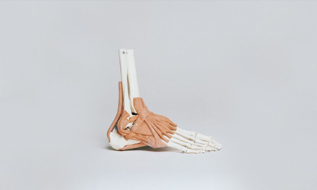 prosthetic foot