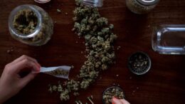 cannabis marijuana CBD