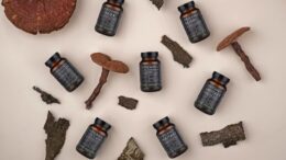 mushroom supplements