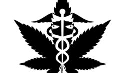 Cannabis Pharma