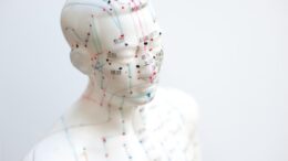 acupuncture mannequin