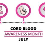 The Advantages of High-End Cord Blood Banks