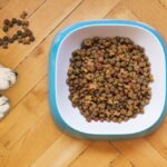 How Much Does a Dog's Health Depend on Food?
