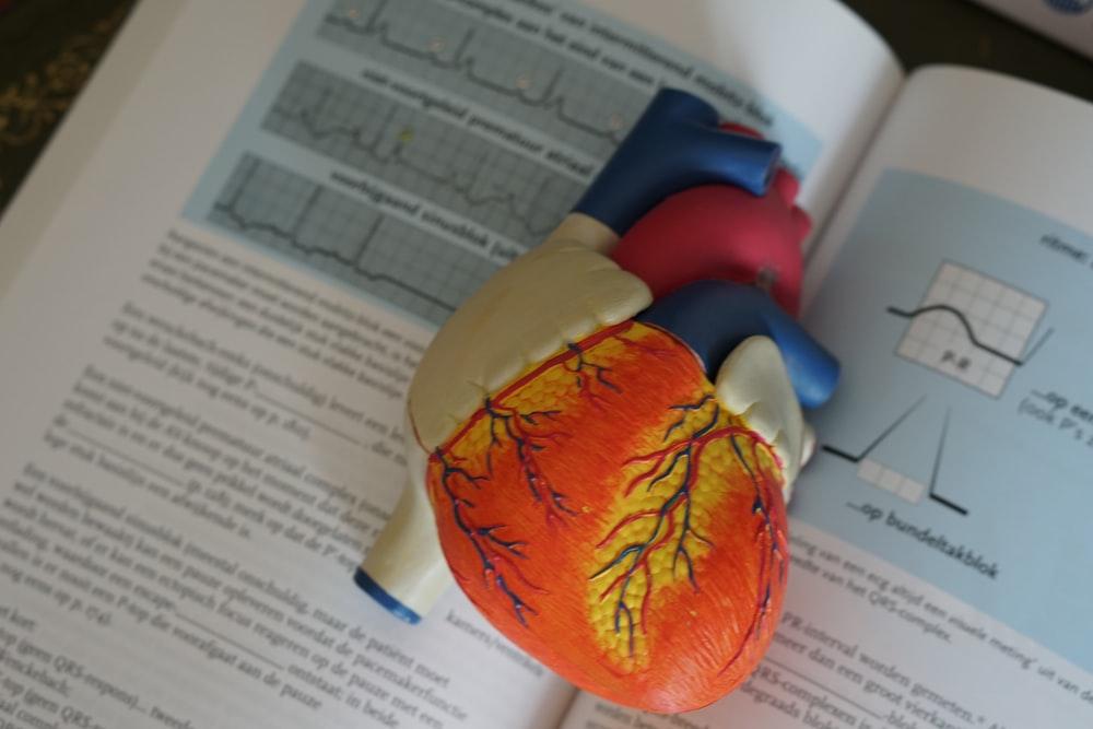 heart and books