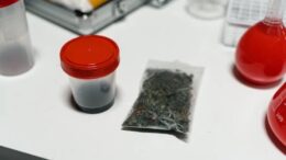 medical cannabis lab