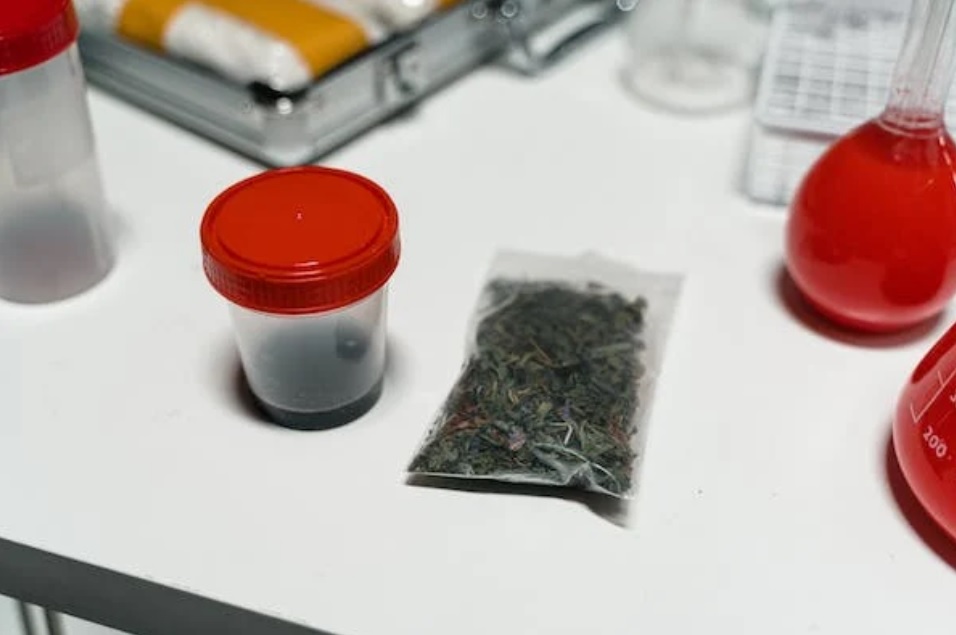 medical cannabis lab