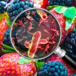 How Do Food Contaminants Affect The Human Health?