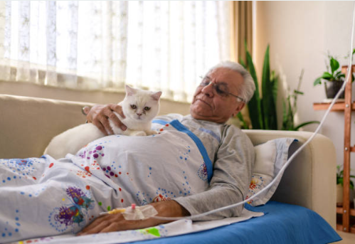 elderly with cat