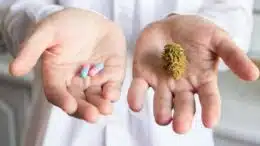 weed or pills