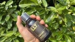 turmeric supplement