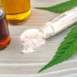 Health Benefits of CBD and Why it's a Lucrative Business Idea