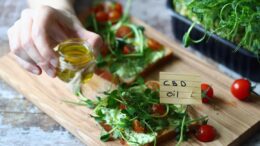 cannabis oil edibles cbd