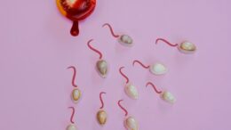 tomato sexual health