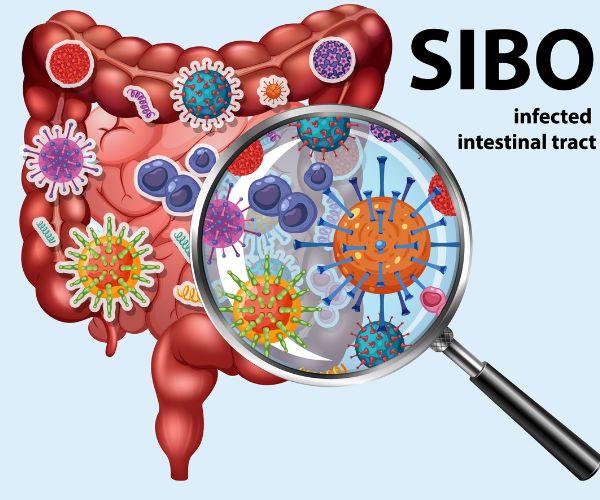 Restore Your Gut Health with the Physician's Elemental Diet