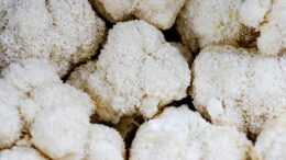 Lion’s Mane Mushroom