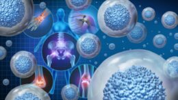 stem cells technology