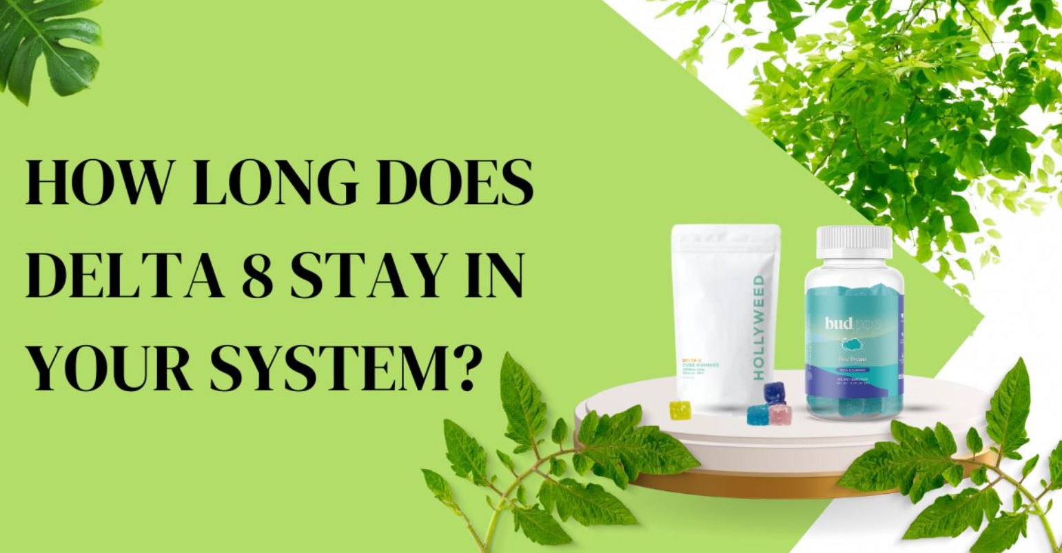 How Long Does Delta-8 Stay In Your System How Long Does Delta 8 THC Stay in Your System?