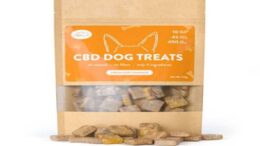 cbd for dogs