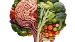 food and brain